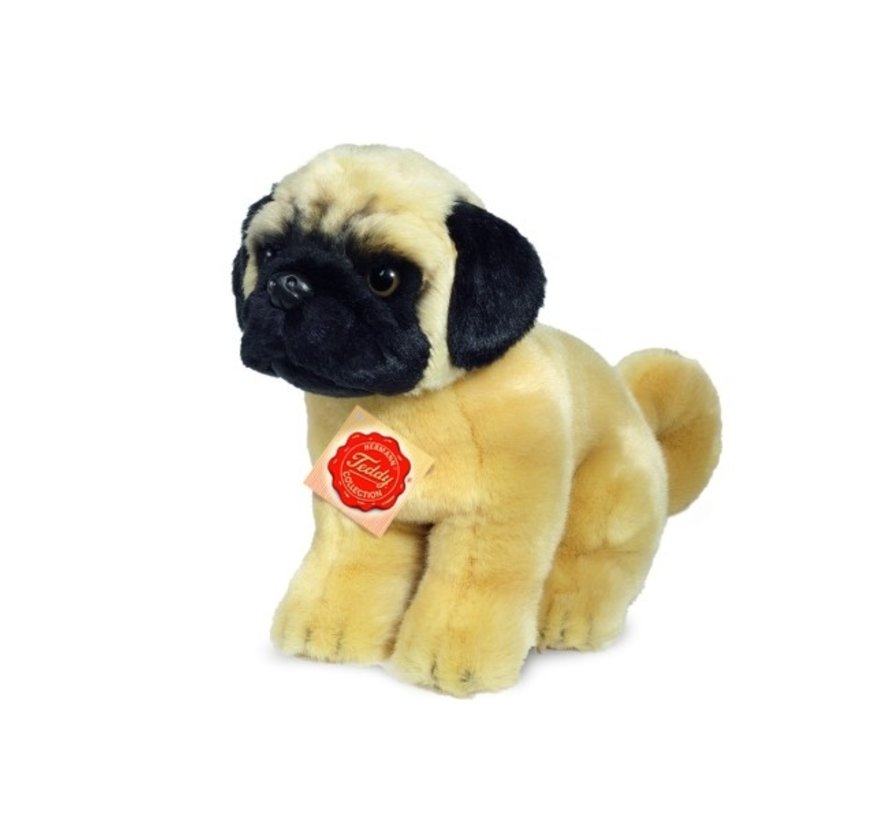 Stuffed Animal Pug