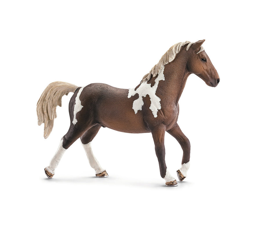 Trakehner stallion 13756