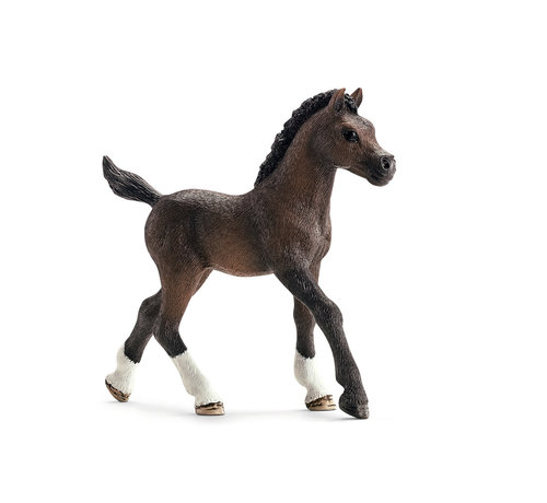 Schleich Paard Arabisch Veulen 13762