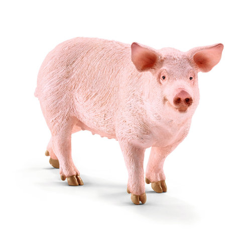 Schleich Pig 13782