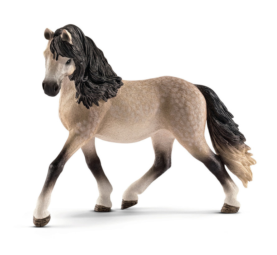 Paard Andalusische Merrie 13793