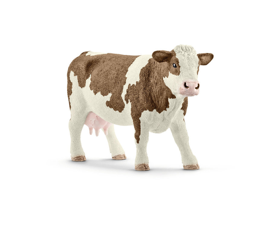 Simmental cow 13801