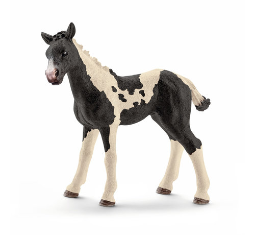 Schleich Pinto foal 13803