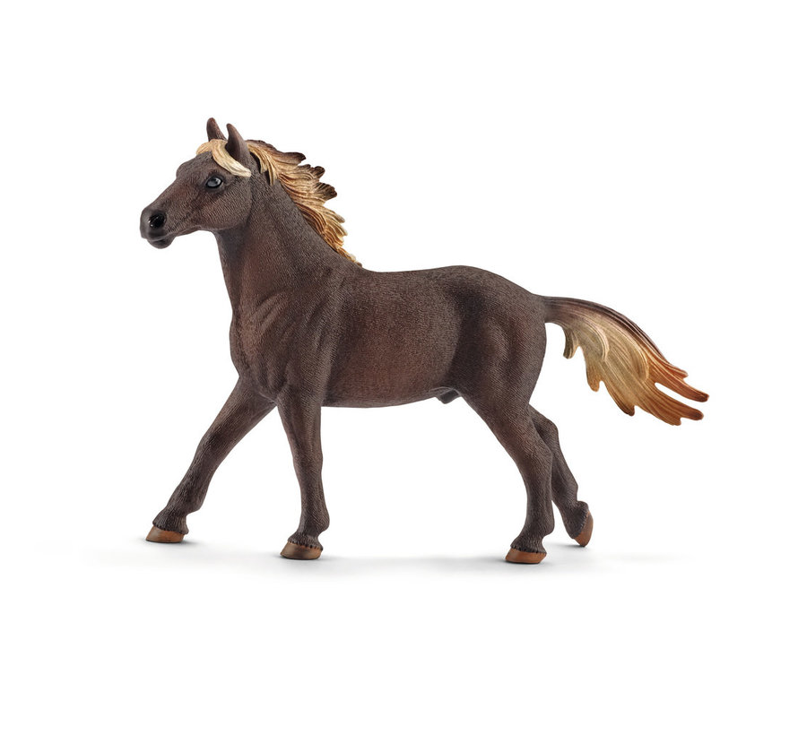 Paard Mustang Hengst 13805
