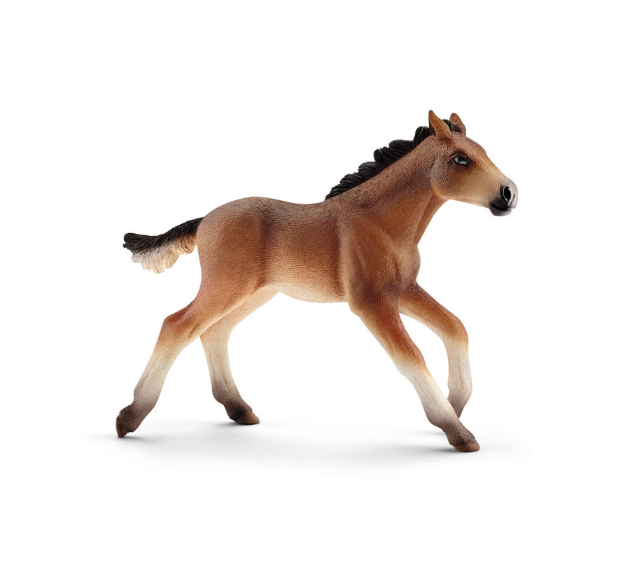 Paard Mustang Veulen 13807