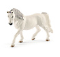 Paard Lipizzaner Merrie 13819