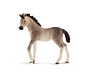 Andalusian foal 13822