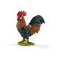 Rooster 13825