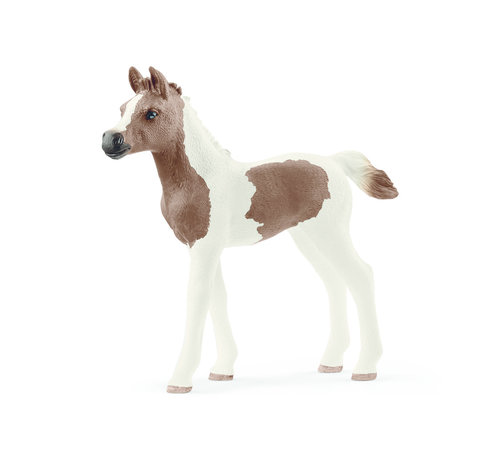 Schleich Paard Pintabian Veulen 13839