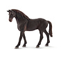 English thoroughbred stallion 13856
