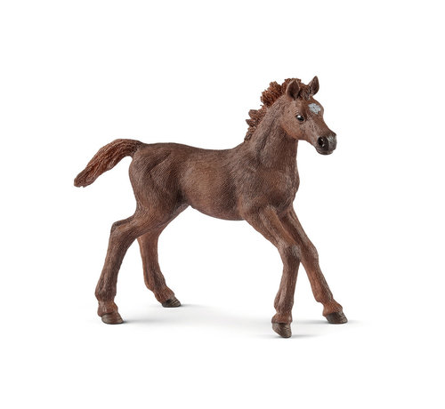 Schleich English thoroughbred foal 13857