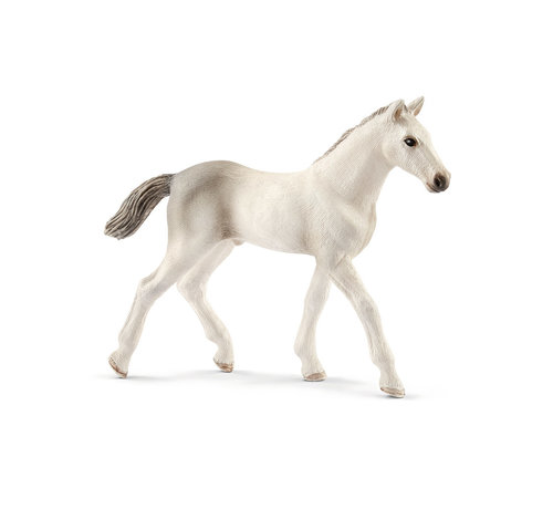 Schleich Paard Holstein Veulen 13860