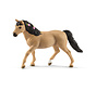 Paard Pony Connemara Merrie 13863