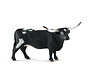 Texas Longhorn cow 13865