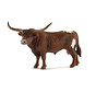 Texas Longhorn bull 13866