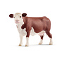 Hereford cow 13867
