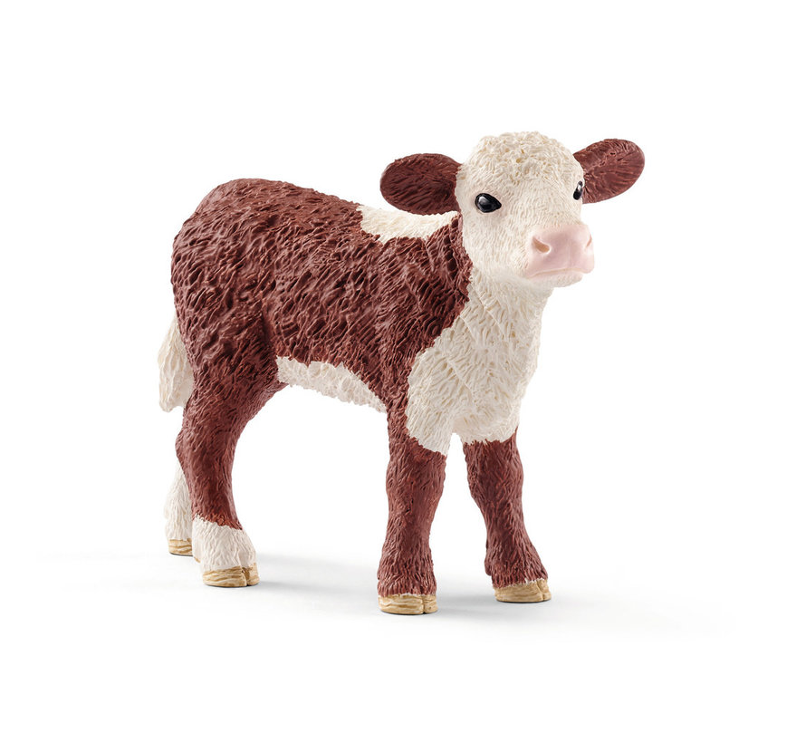 Hereford calf 13868