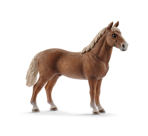 Schleich Morgan horse stallion 13869