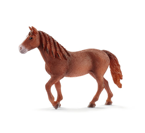 Schleich Morgan horse mare 13870