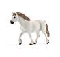 Paard Welsh Pony Merrie 13872