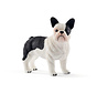 Hond Franse Bulldog 13877