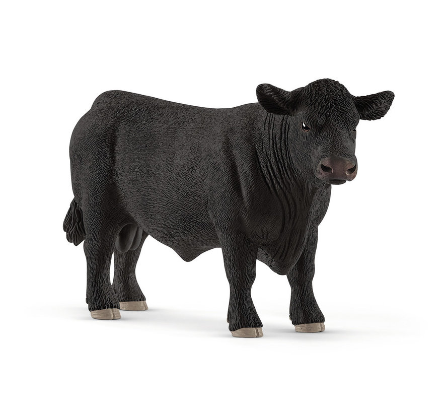 Black Angus bull 13879