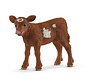 Koe Texas Longhorn Kalf 13881