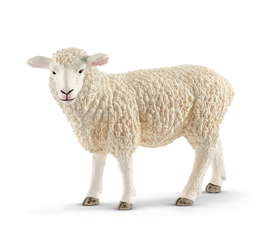 Sheep 13882
