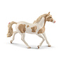 Paard Paint Horse Merrie 13884