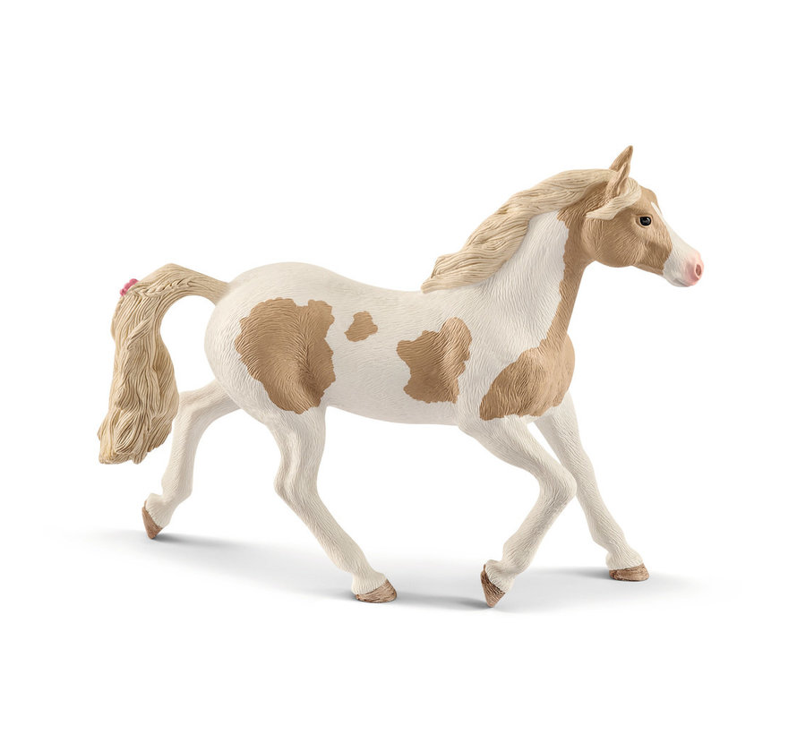 Paint horse mare 13884