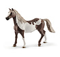Paint horse gelding 13885