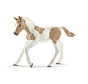 Paint horse foal 13886