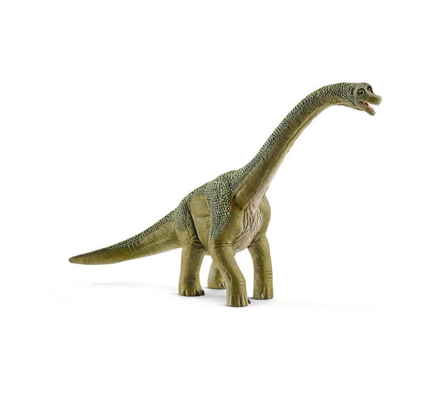 Brachiosaurus 14581