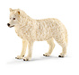 Arctic wolf 14742