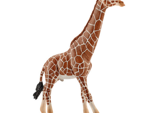 Schleich Giraffe, male 14749