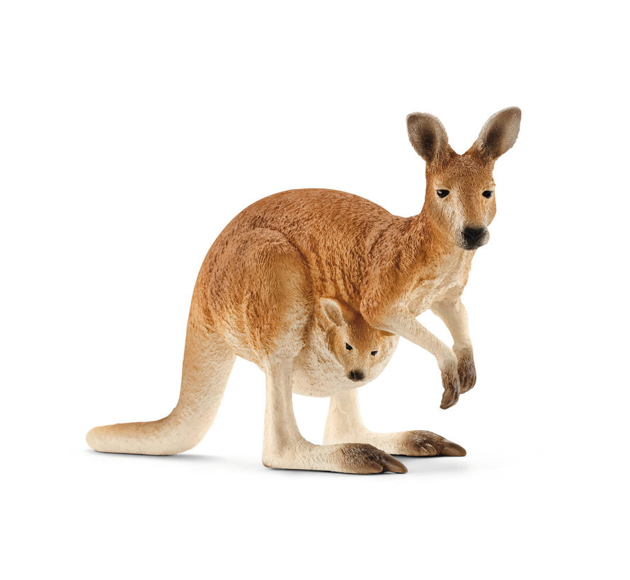 Kangaroo 14756