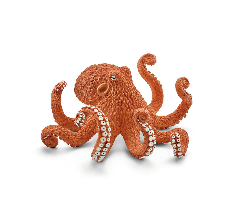 Octopus 14768