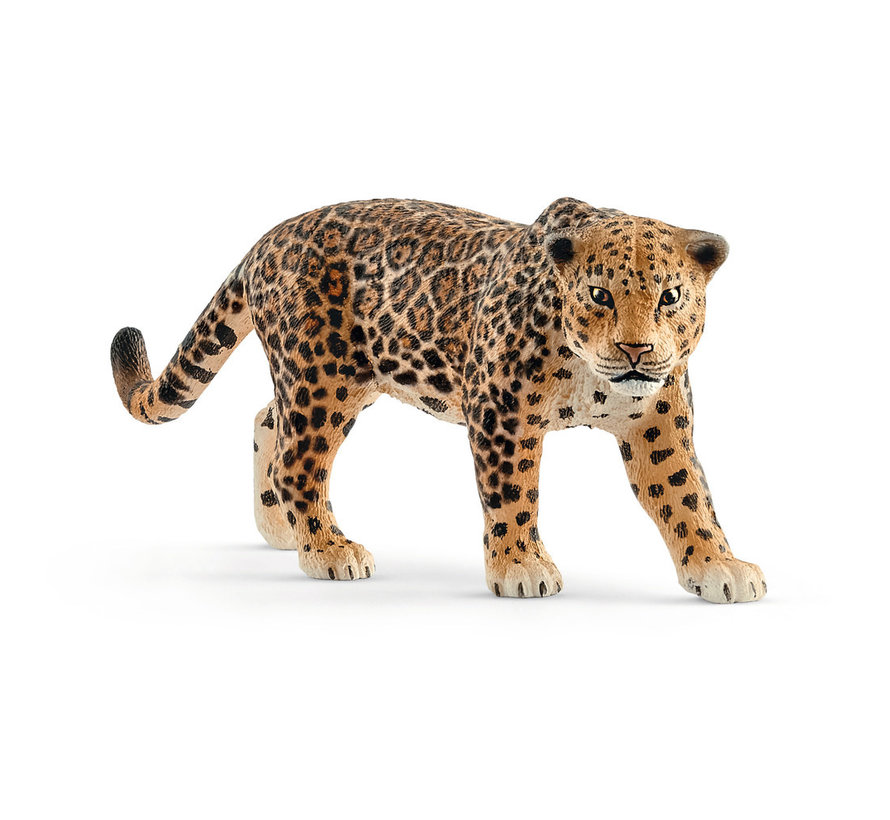 Jaguar 14769