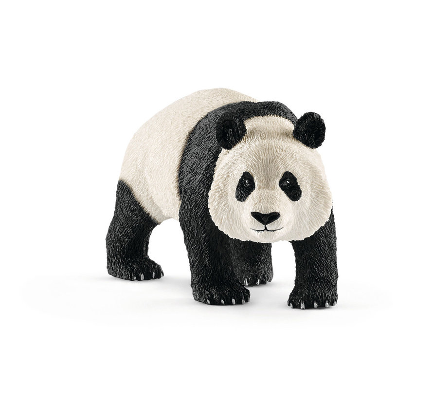 Panda Reuzenpanda Mannetje 14772