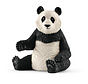 Panda Reuzenpanda Vrouwtje 14773