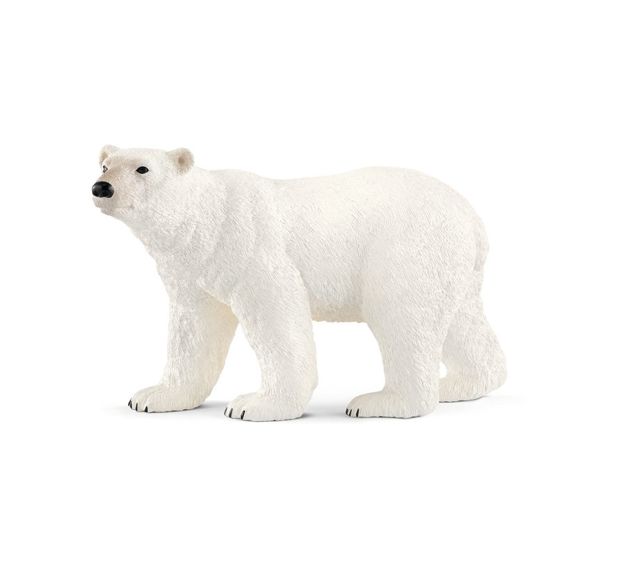 Polar bear 14800