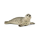 Seal cub 14802
