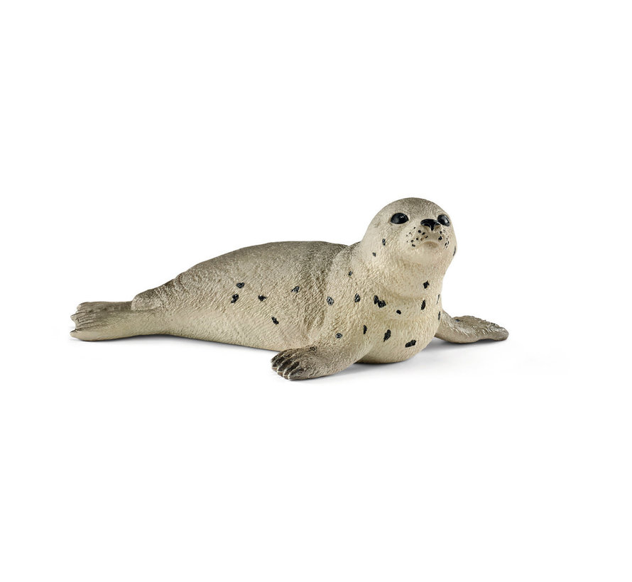 Seal cub 14802