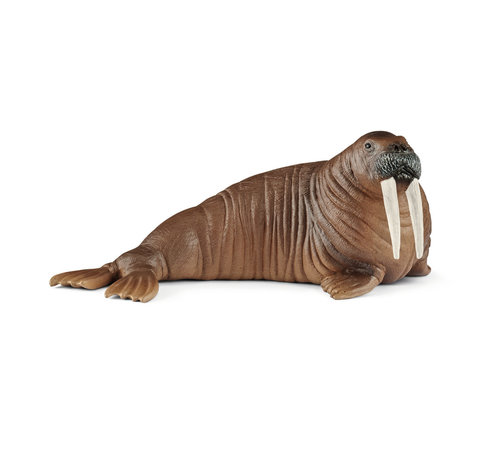 Schleich Walrus 14803