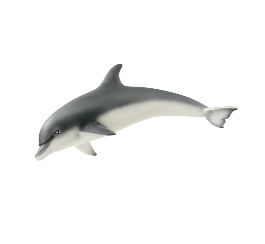 Dolfijn 14808