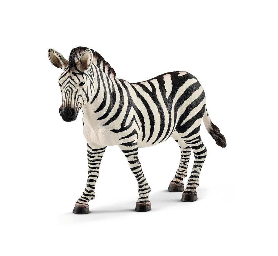 Zebra female 14810