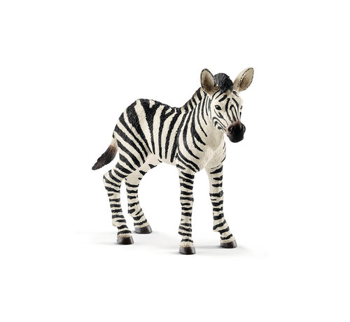 Schleich Zebra Veulen 14811