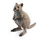 Quokka 14823