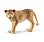 Lioness 14825