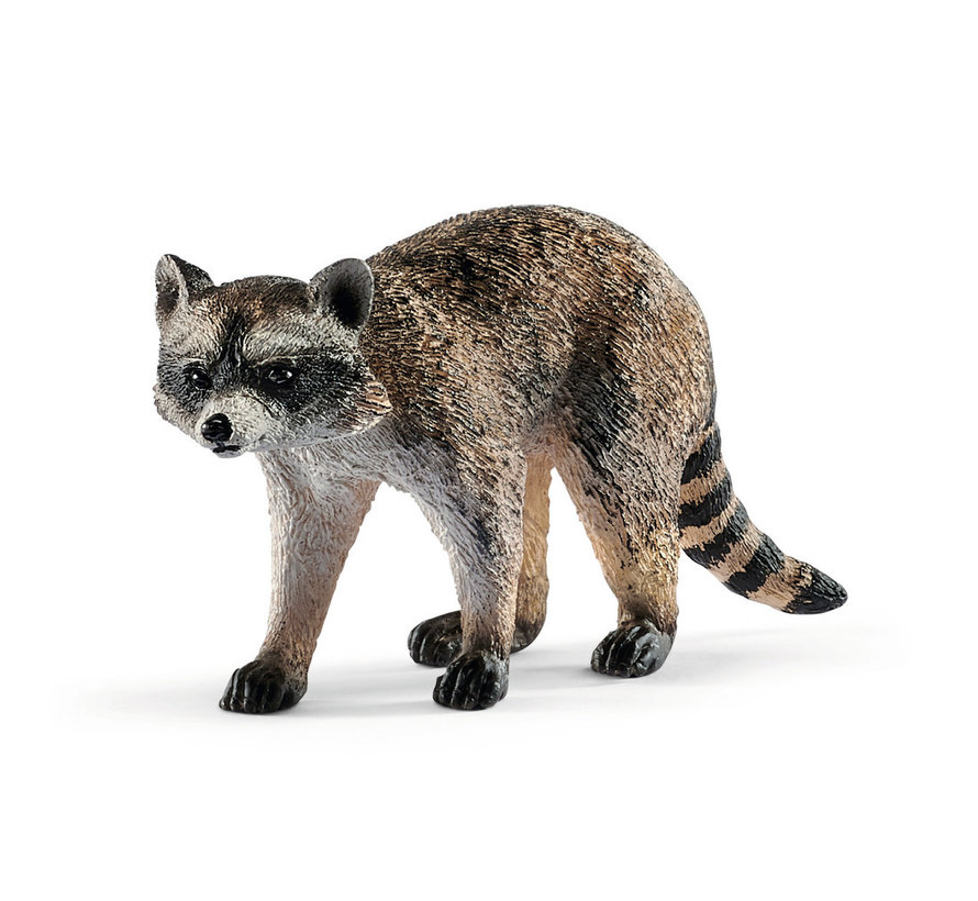 Raccoon 14828